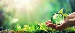 a hand holding a glass globe against a leafy background