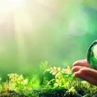 a hand holding a glass globe against a leafy background